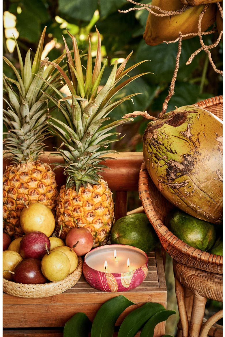 Napali Passion Fruit 3-Wick Tin Candle, Alternate, color, NO COLOR
