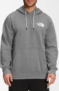 The North Face NSE Box Logo Graphic Hoodie