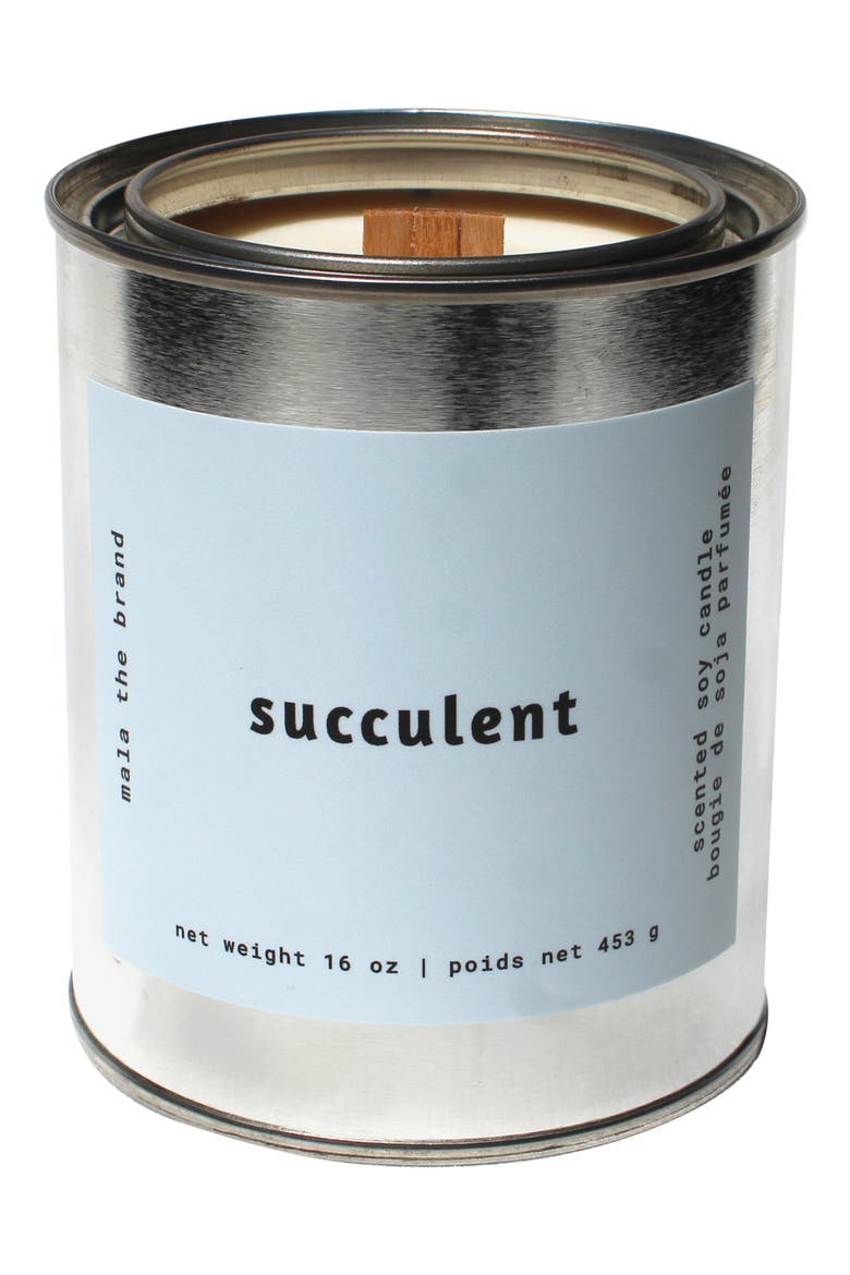 Scented 16-Ounce Candle, Main, color, SUCCULENT