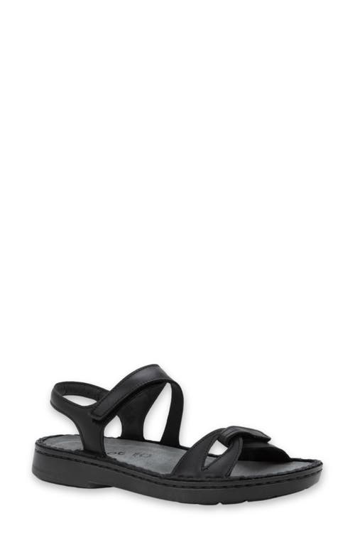 Naot Evora Sandal