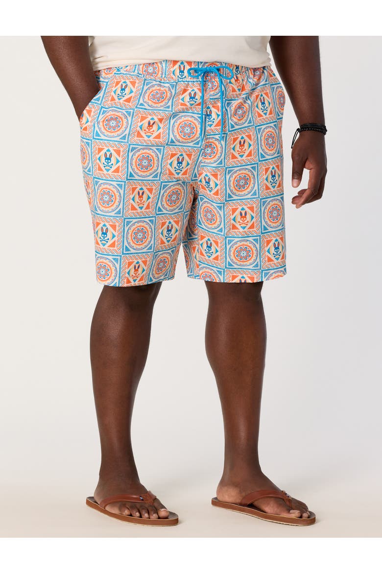 Big & Tall Frank Swim Trunks, Main, color, MULTI