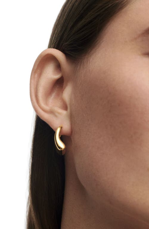 Pdpaola Medium Ibiza Hoops In Gold