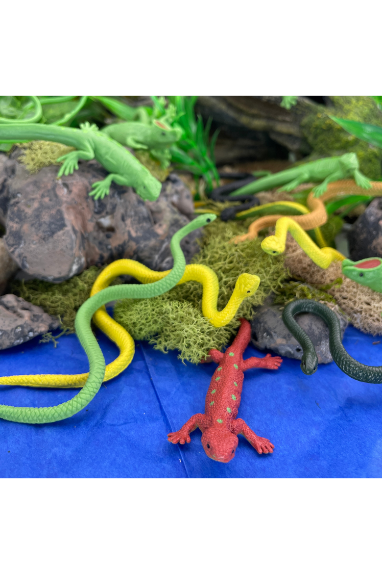 Reptiles Toy, Alternate, color, No Color