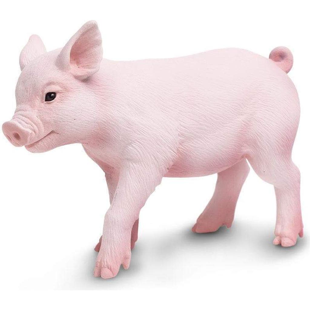 Safari Ltd. Piglet