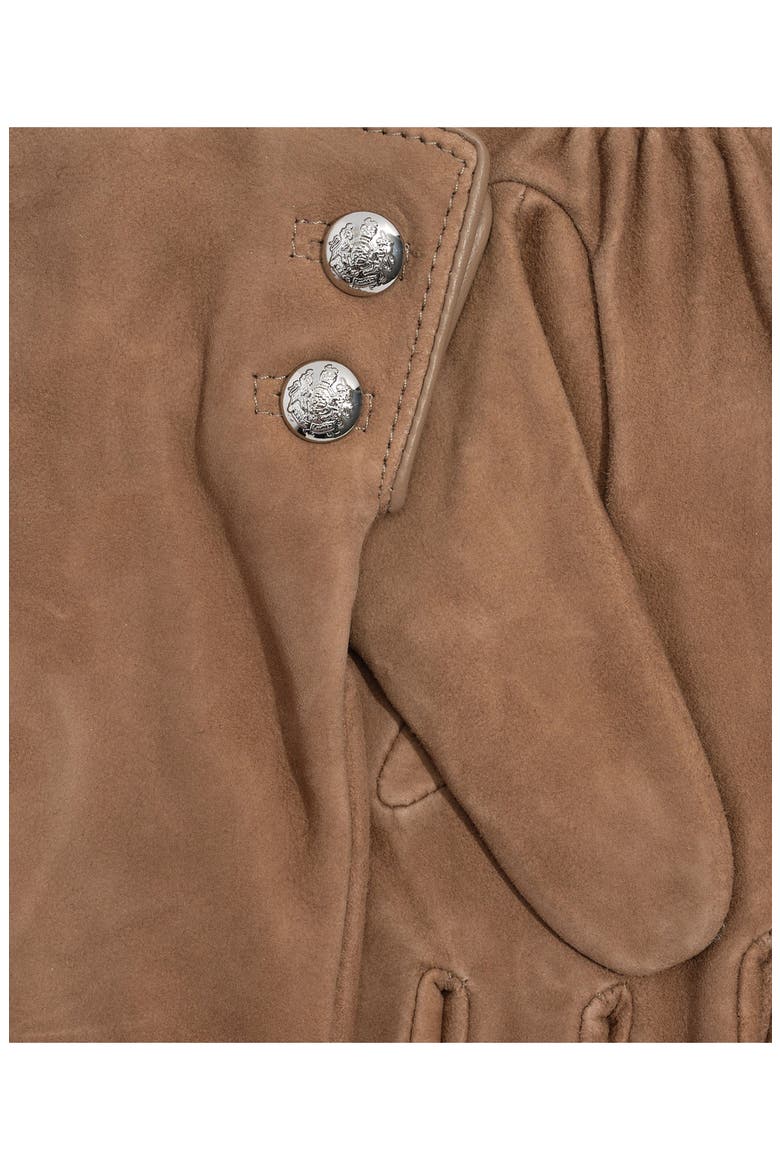 Crest Button Suede Gloves, Alternate, color, TAUPE