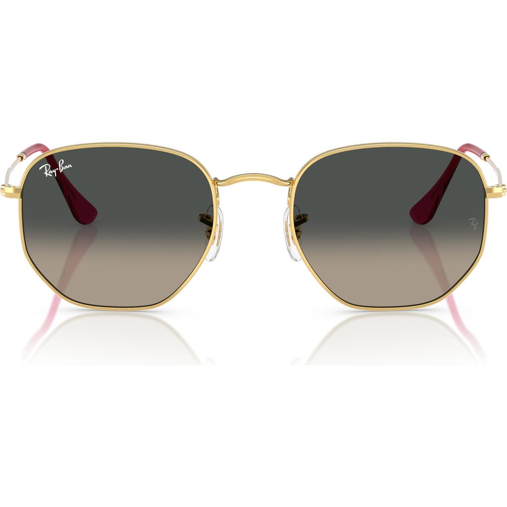 Ray Ban Ray-ban 51mm Geometric Sunglasses