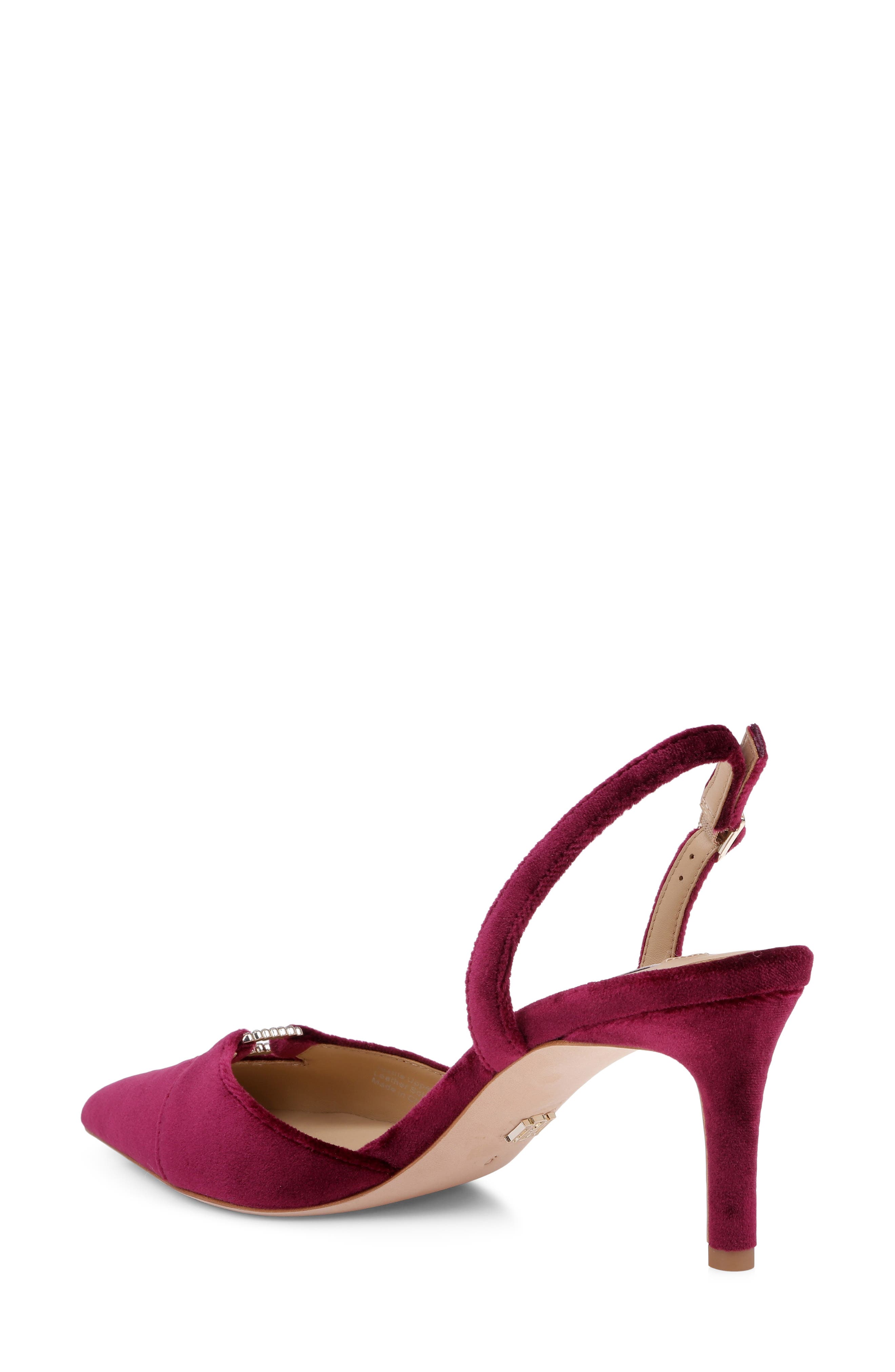 Roger Slingback Pointed Toe Pump, Alternate, color, WINE VELVET