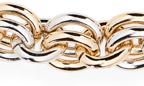 Roxanne Assoulin Double Link Necklace In Multi