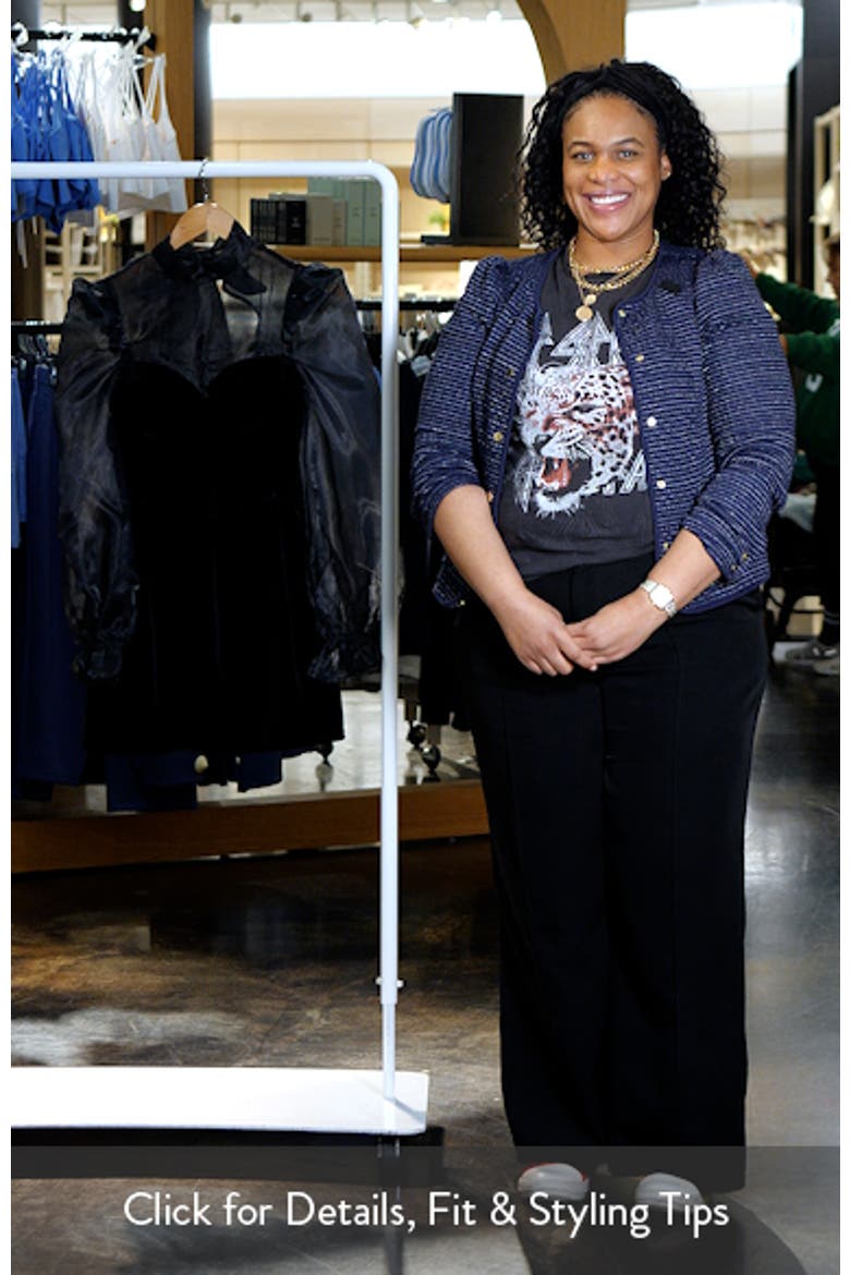 Blaire Organza & Velvet Long Sleeve Minidress video