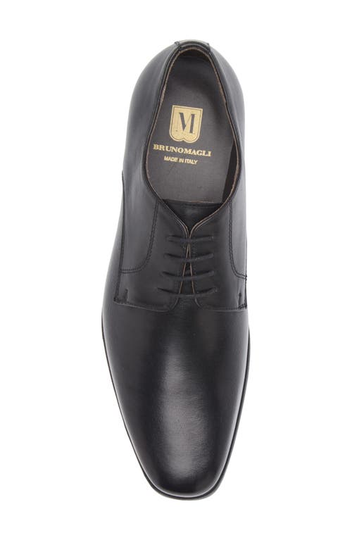 Bruno Magli Pello Plain Toe Oxford Derby
