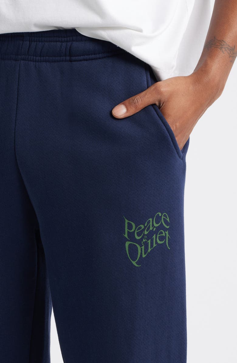 Museum of Peace & Quiet Warped Sweatpants, Alternate, color, Navy