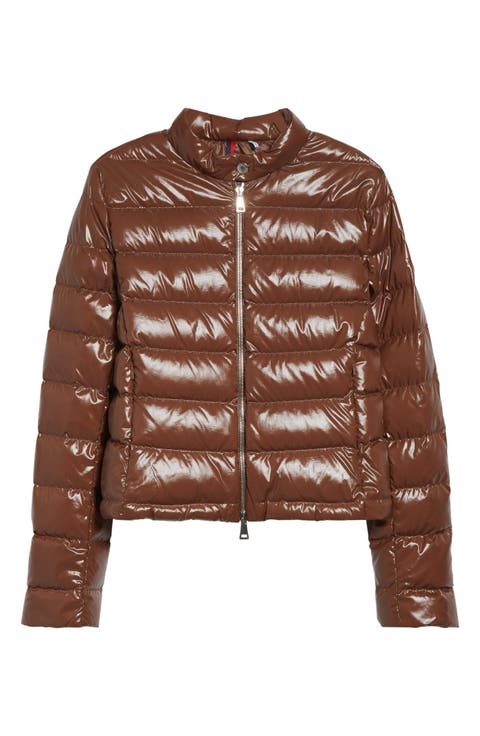 Papillon Crop Lacquered Nylon Puffer Jacket