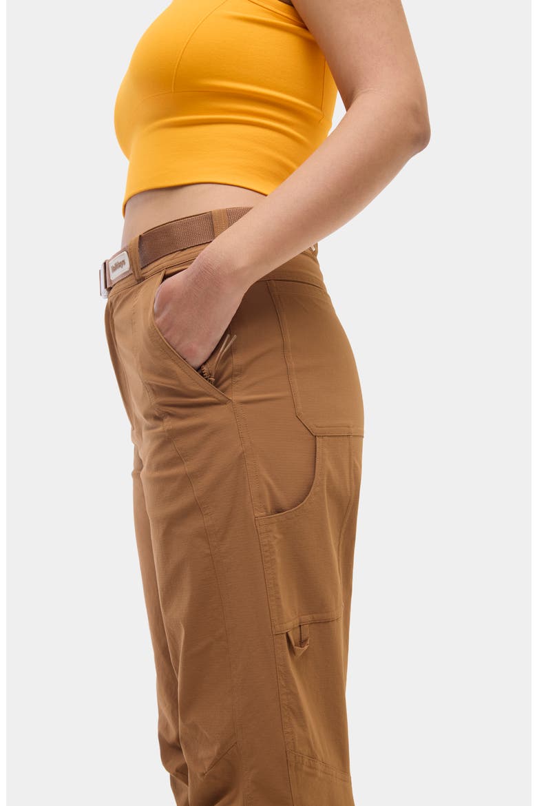 Bastille Trail Pants, Alternate, color, NUTHATCH