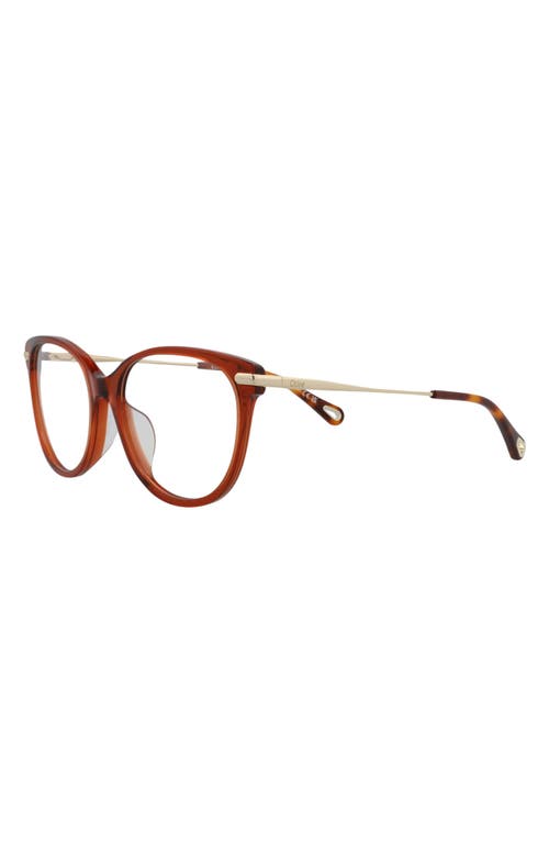 Chloé Women's Ch0058oa 53mm Optical Frames In Brown Gold Transparent