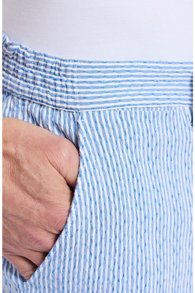 Fornillo Stripe Woven Shorts, Alternate, color, NAVY