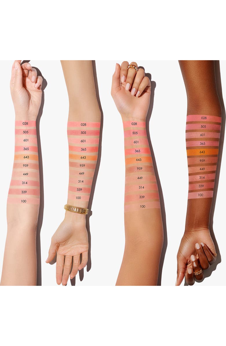 DIOR Rouge Powder Blush, Alternate, color, 100 Nude Look / Matte