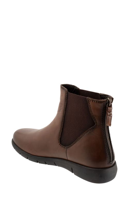 Softwalk ® Albany Chelsea Boot In Dark Brown Smooth
