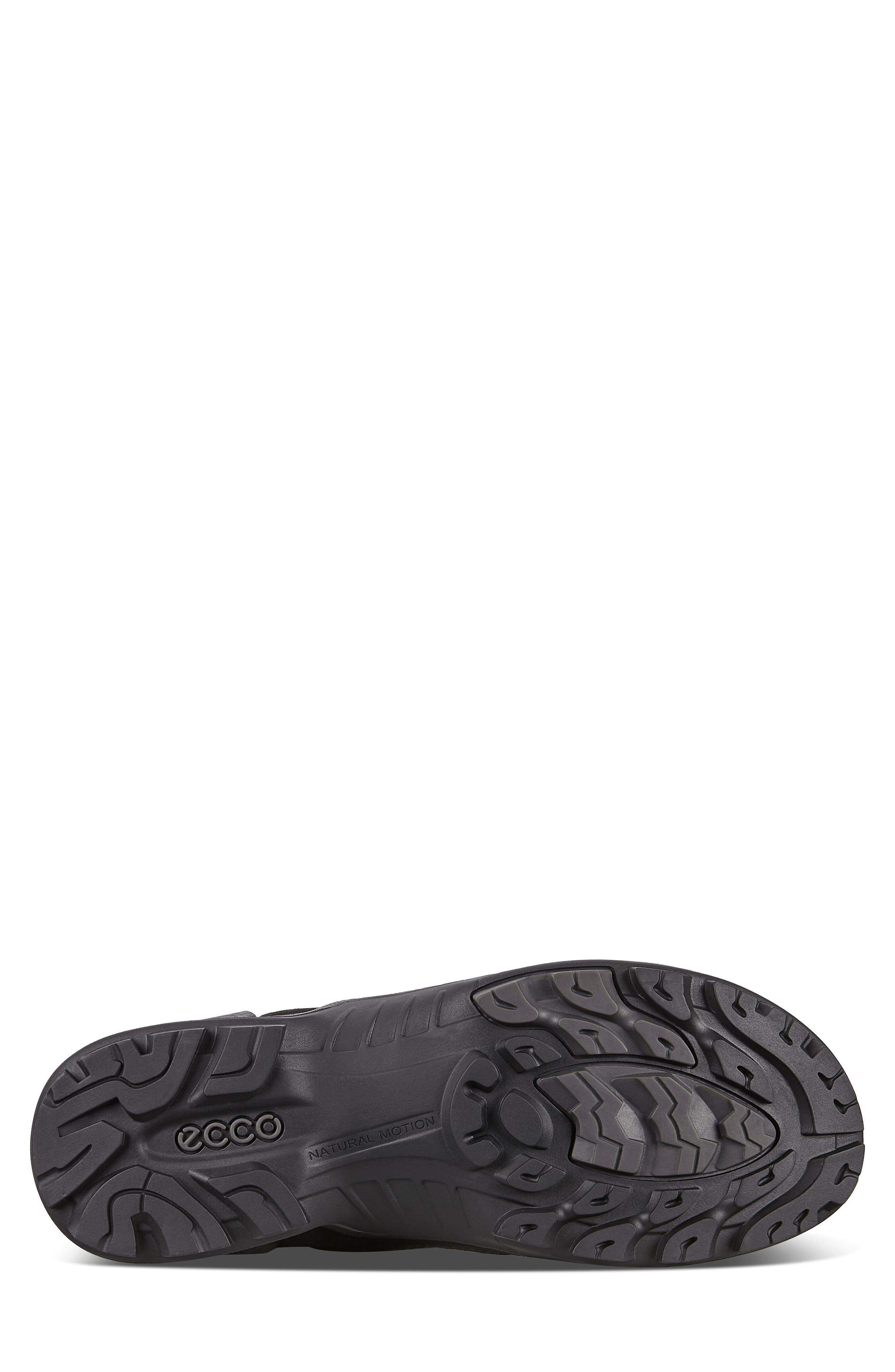 ECCO Biom Terrain Gore-Tex<sup>®</sup> Hiking Boot, Alternate, color, 