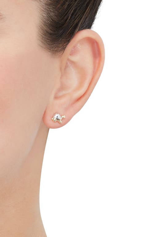 Frankie & Zoe Turtle Stud Earrings In Gold