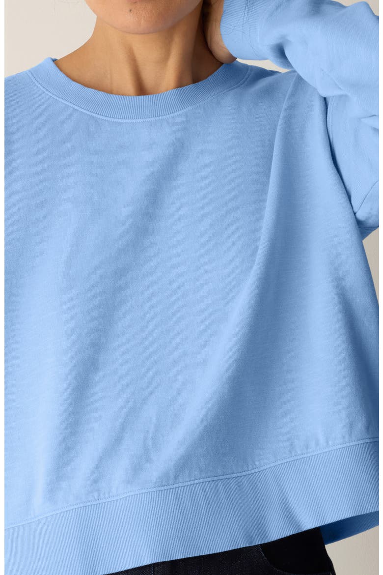 Organic Cotton Crop Sweatshirt, Alternate, color, SKYLIGHT