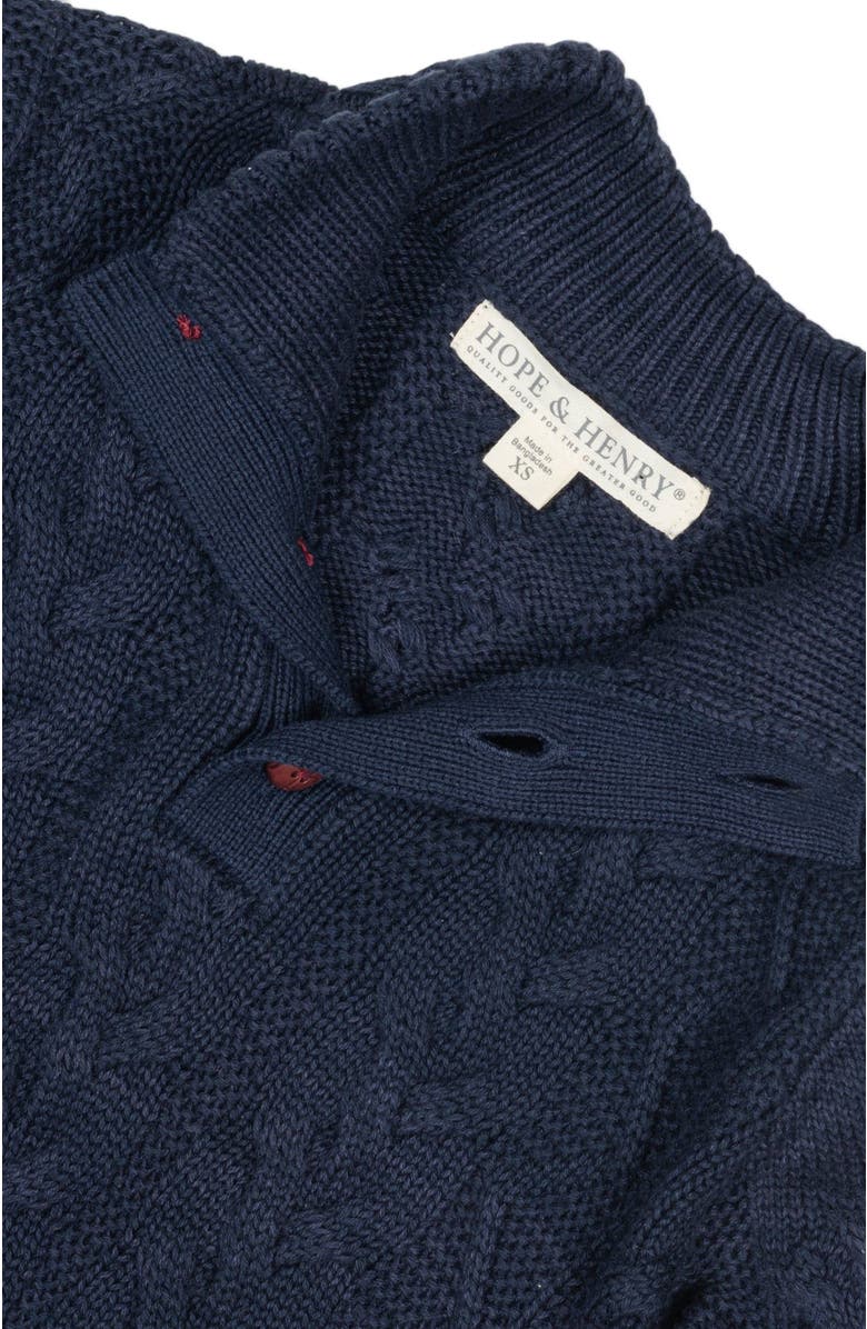 Hope & Henry Baby Boys' Organic Mock Neck Cable Sweater, Infant, Alternate, color, Chunky Navy Cable