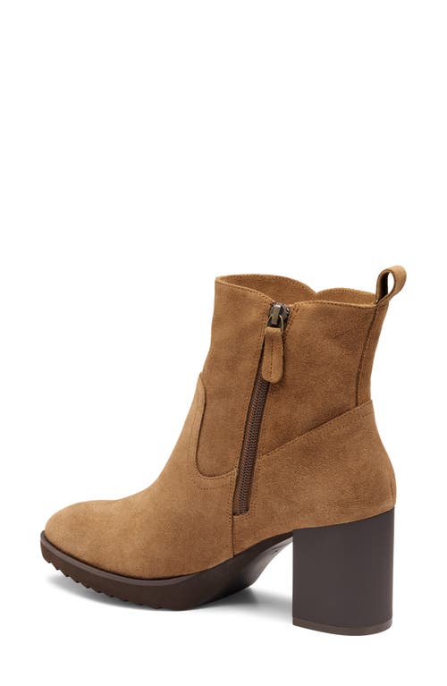 Johnston & Murphy Izzie Waterproof Platform Bootie In Brown