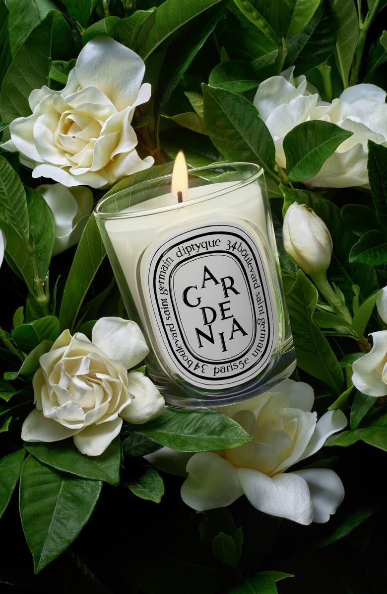 Diptyque Gardenia Classic Candle, Alternate, color, 