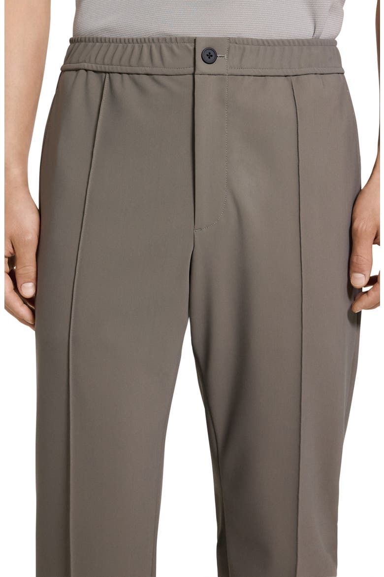 Curtis Pintuck Precision Pants, Alternate, color, MOREL - 2MY