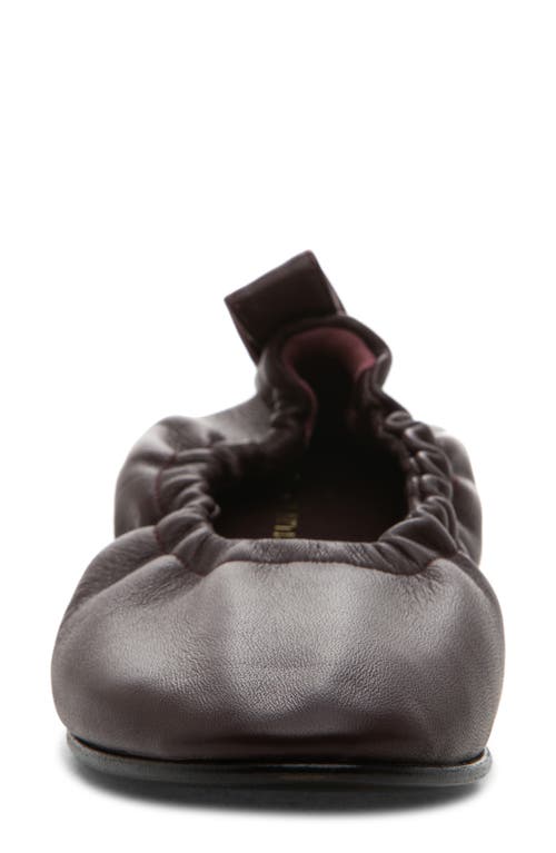 275 Central Vanna Flat In Burgundy