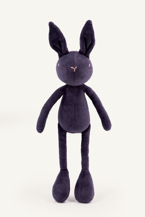 Daniel, the rabbit stuffed animal