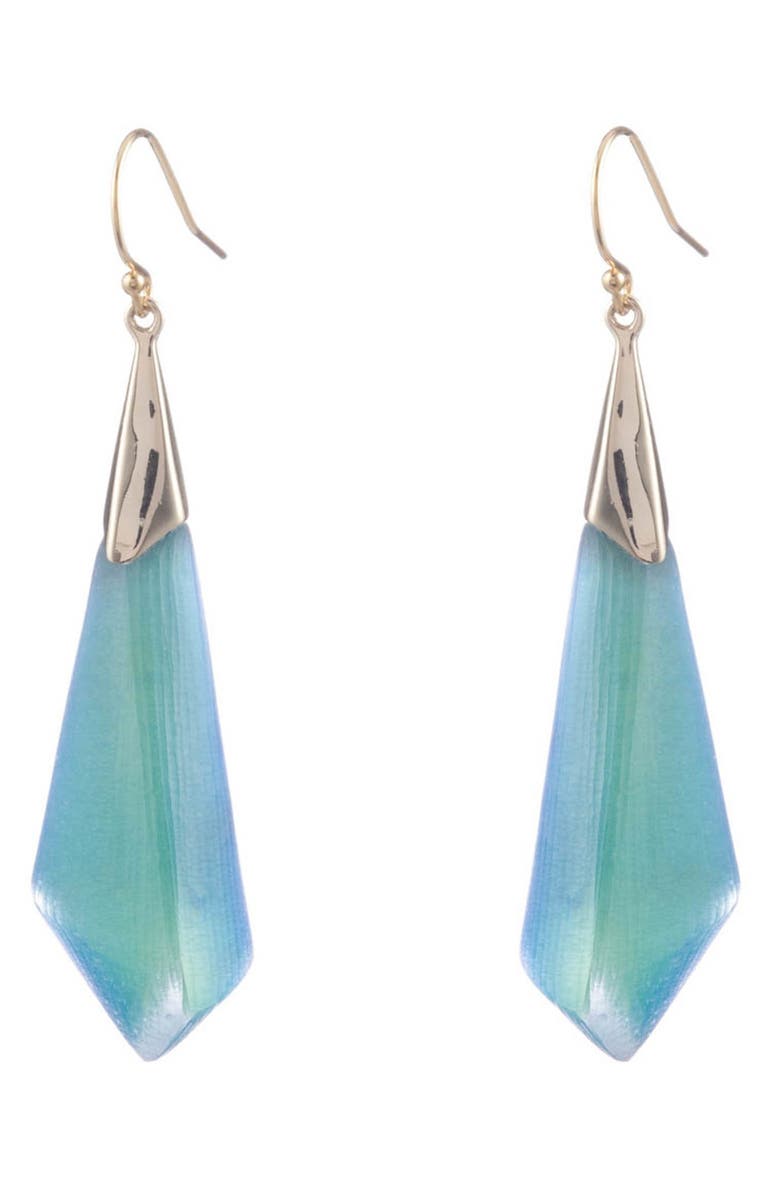 Alexis Bittar Faceted Drop Earrings, Main, color, 