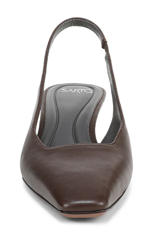 Sarto By Franco Sarto Raven Slingback Kitten Heel Pump In Brown