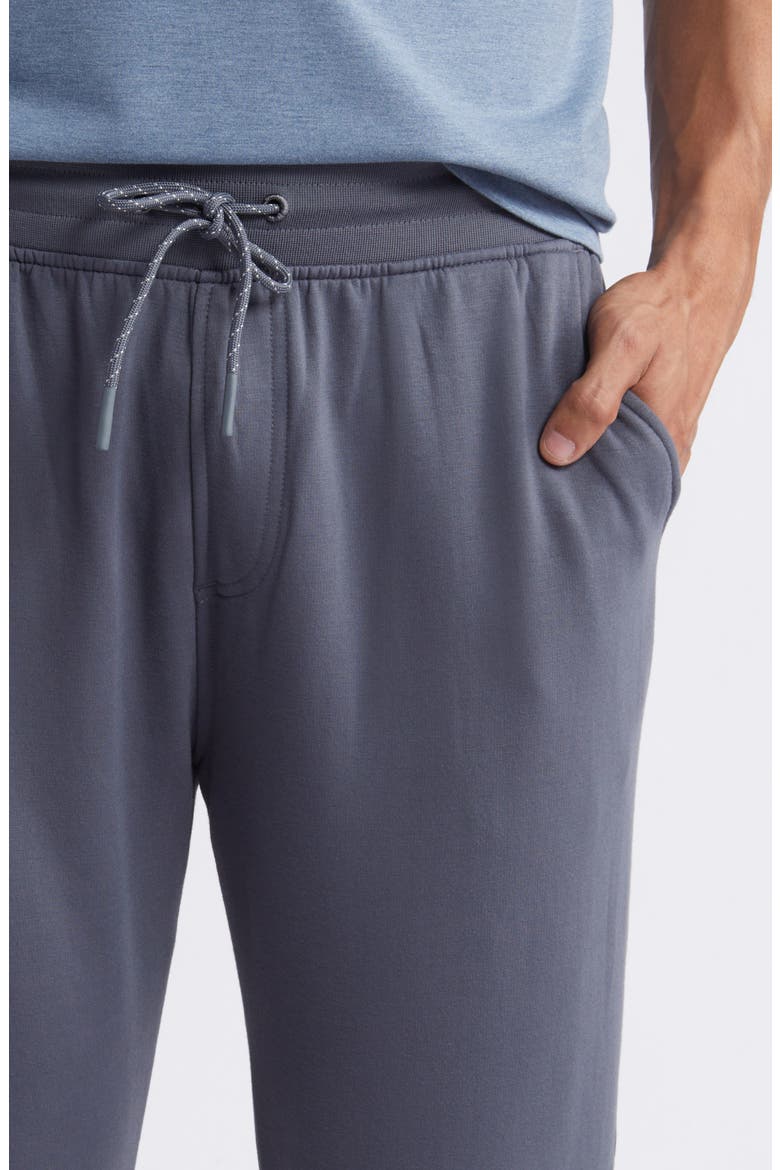 Brushed Fleece Joggers, Alternate, color, STORM CLOUD