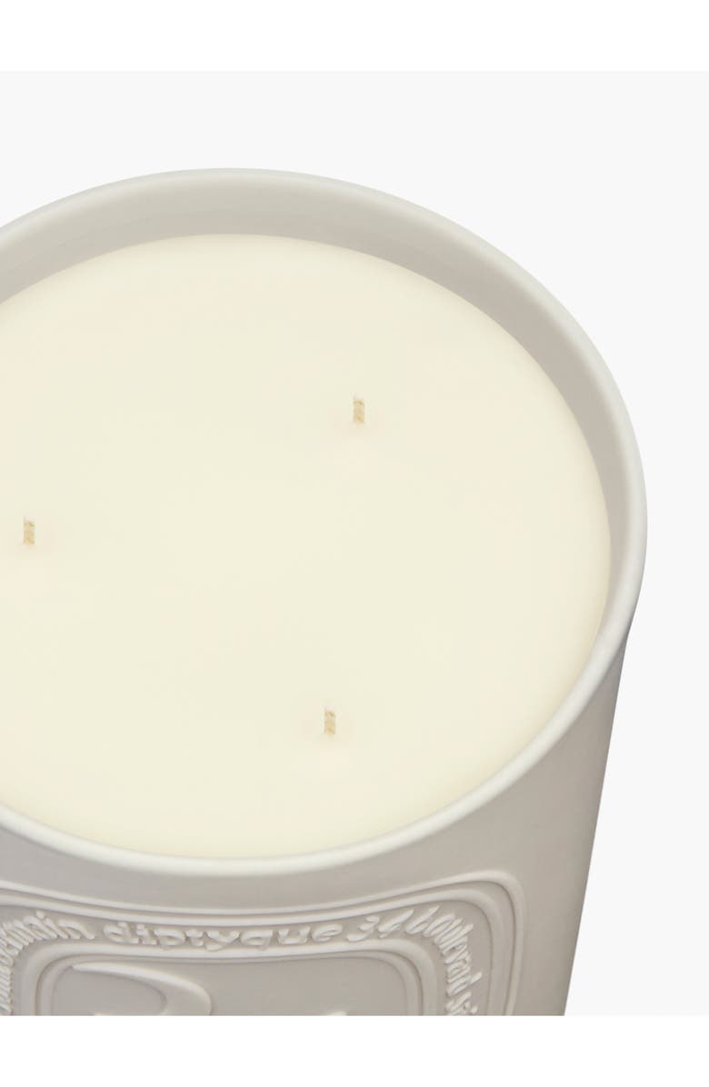 Diptyque 34 Boulevard Saint Germain Scented Candle, Alternate, color, 