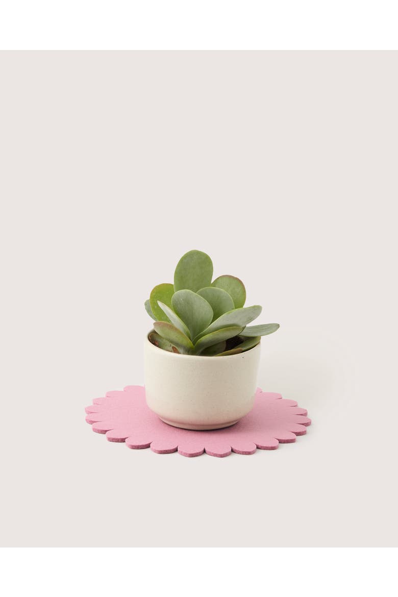 Crest Merino Wool 10" Trivet, Alternate, color, Mauve