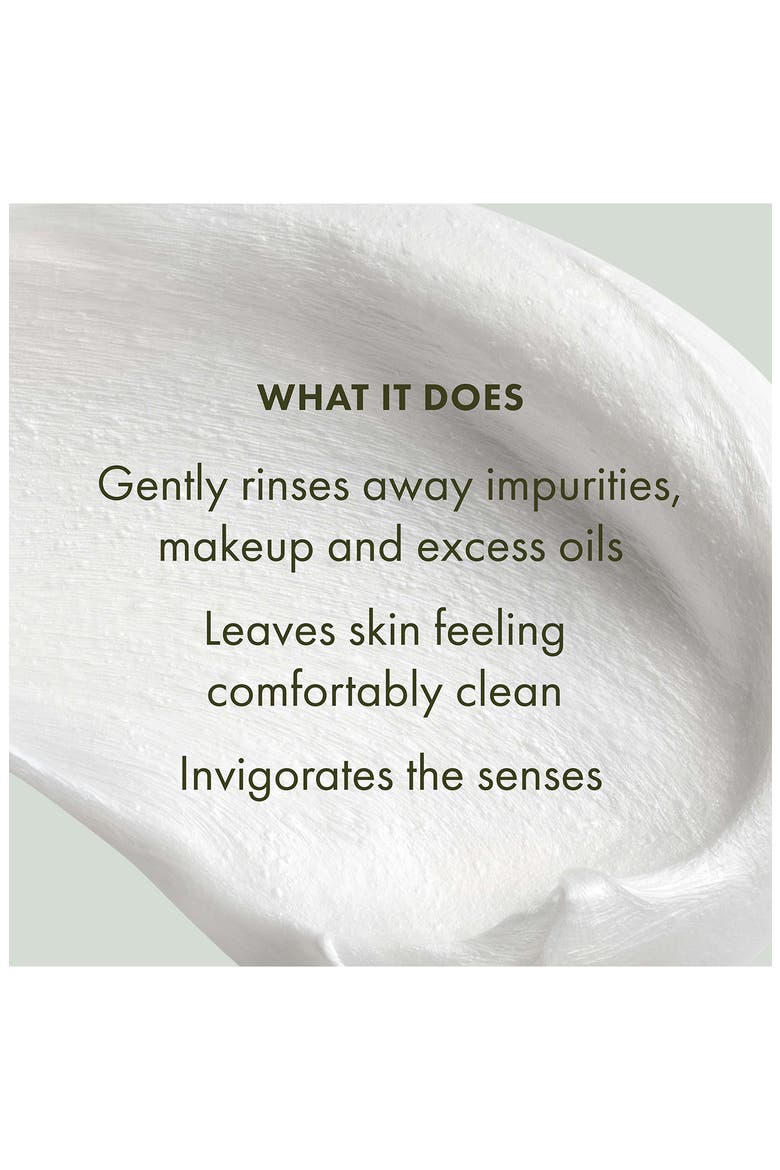 Checks and Balances™ Frothy Face Wash, Alternate, color, NO COLOR