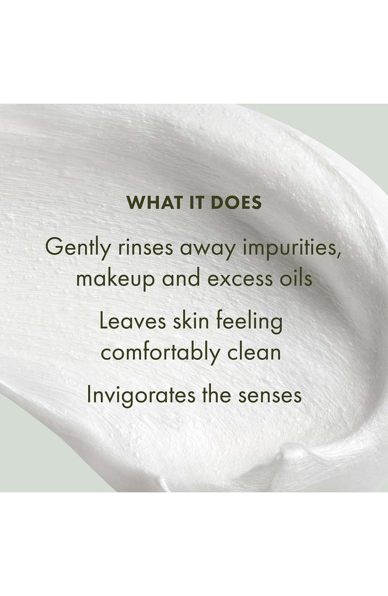 Origins Checks and Balances<sup>™</sup> Frothy Face Wash, Alternate, color, 