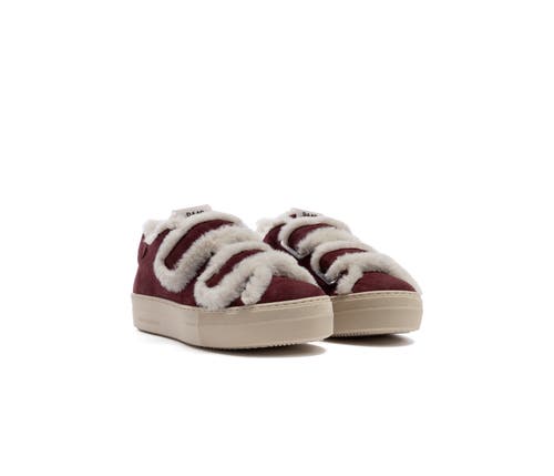 P448 Thea Venice Platform Sneaker In Burgundy