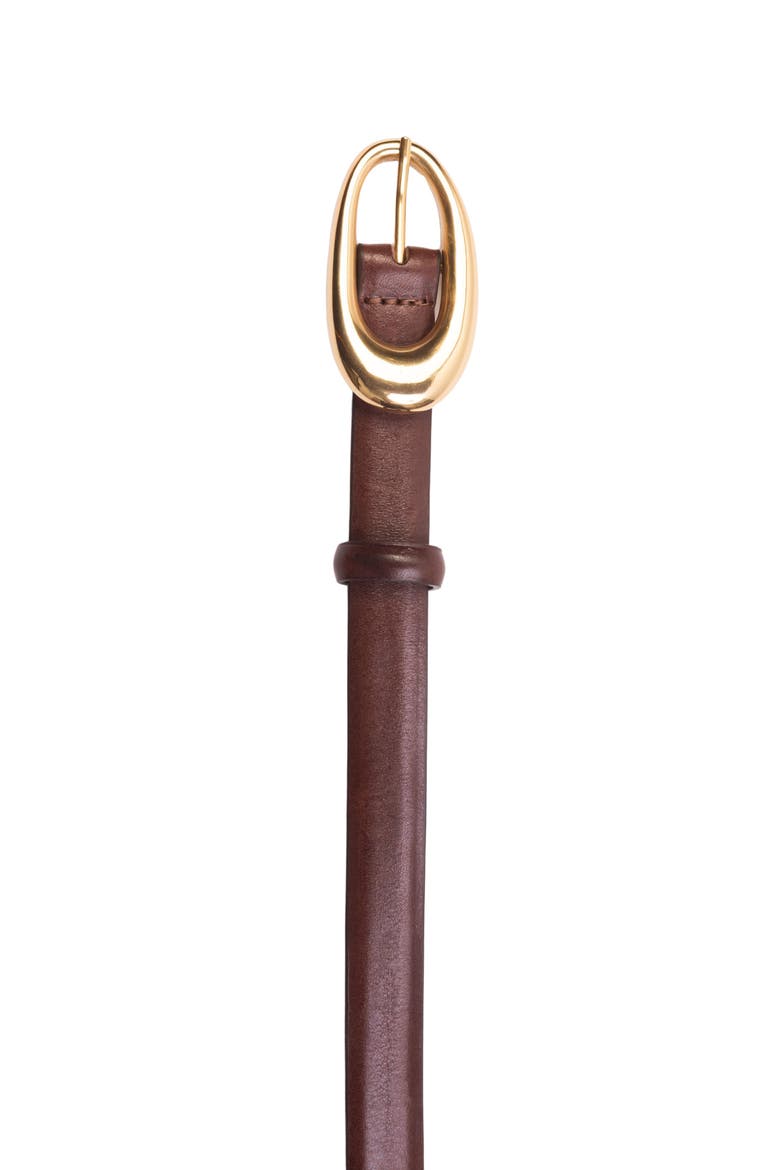 Oval Zebra Belt, Alternate, color, Brown Leather/Gold