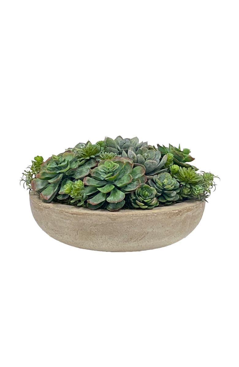 Winward Home Succulent Mix In Round Bowl, Main, color, 