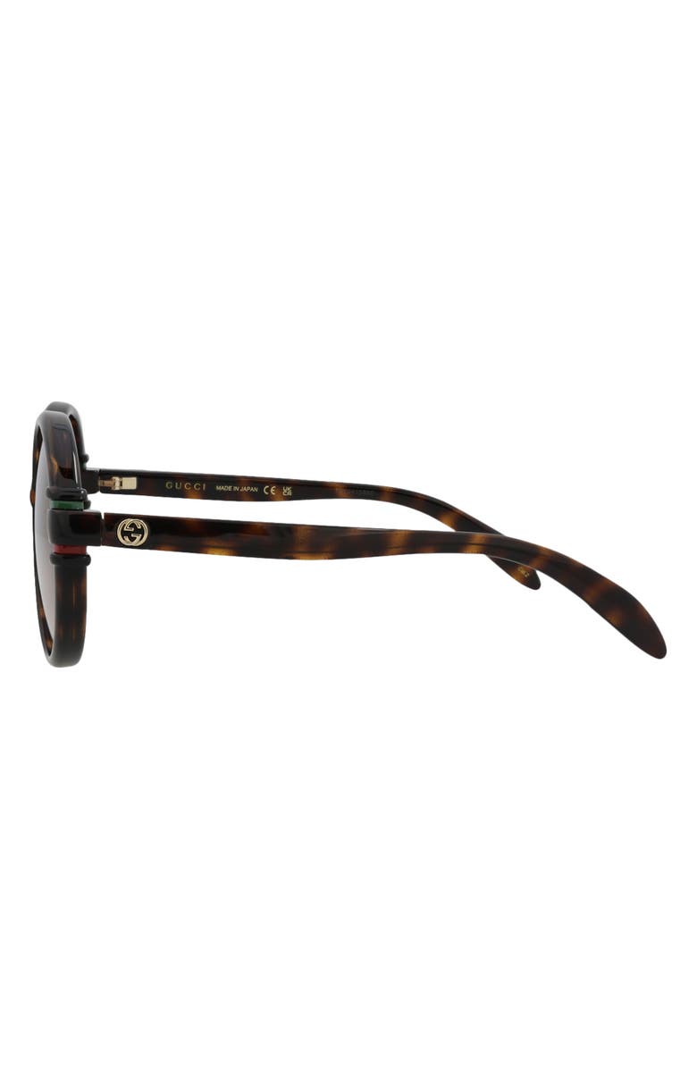 Gucci 58mm Fashion Round Sunglasses, Alternate, color, Havana Havana Brown
