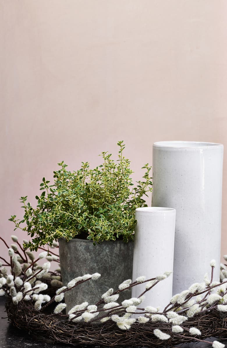 The White Company Pussy Willow Wreath, Alternate, color, 