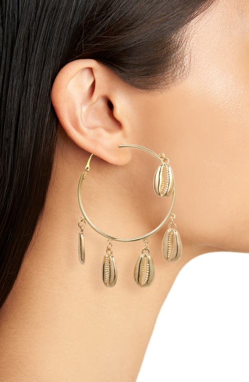 Tasha Cowrie Shell Dangle Hoop Earrings In Gold