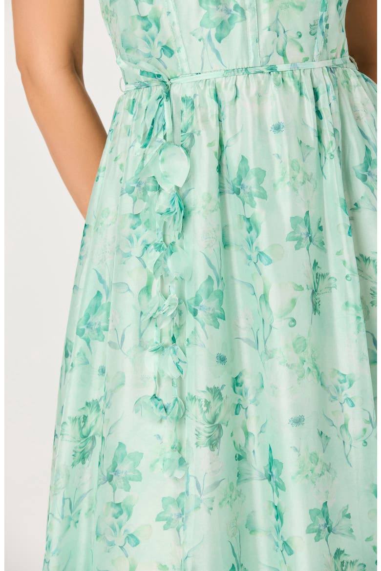 Halcyon Floral Print A-Line Dress, Alternate, color, GREEN FLORAL