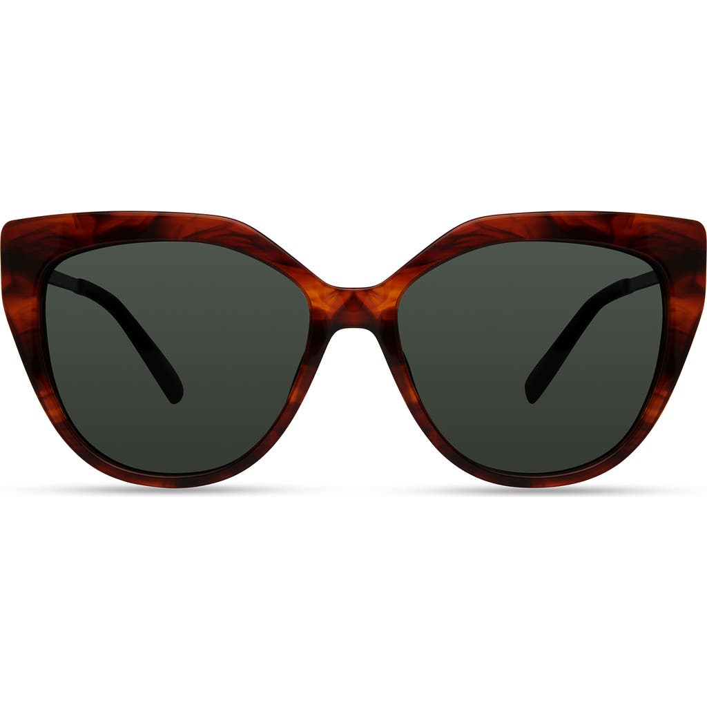 Derek Lam 10 Crosby Campbell Sunglasses in Tiger Stripe  product