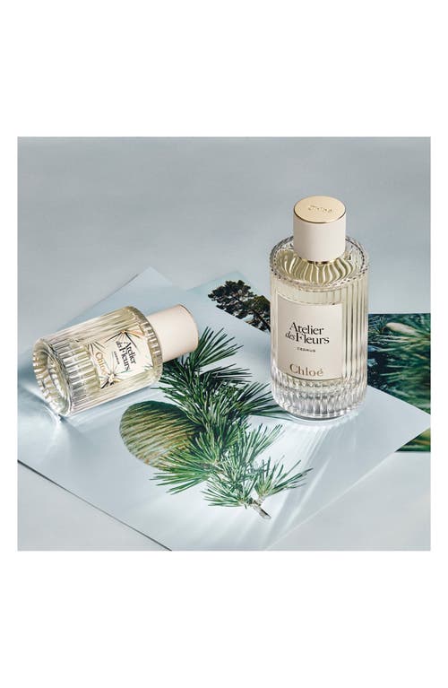 Chloé Atelier Des Fleurs Cedrus Eau De Parfum In Transparent