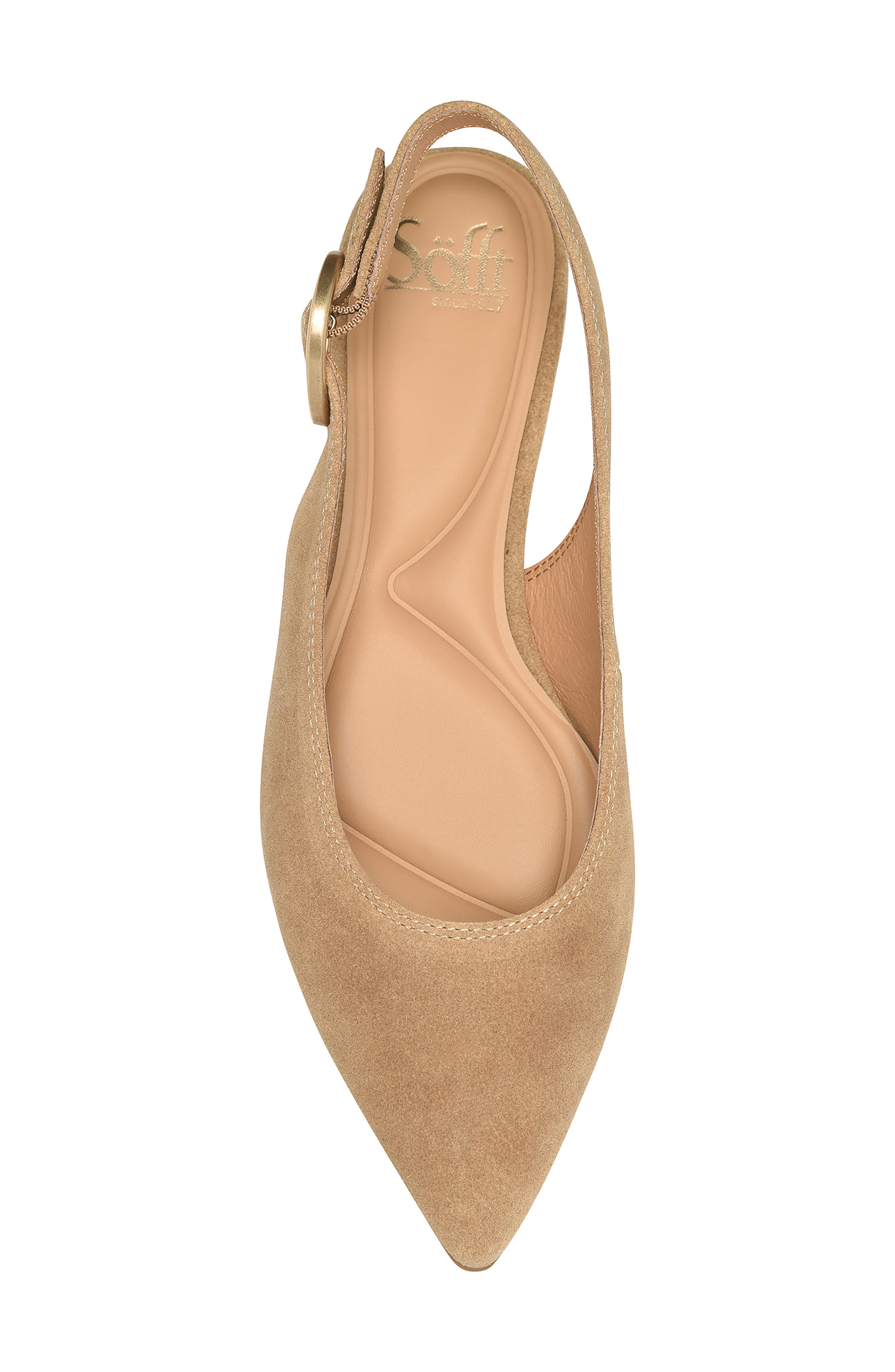 Marcella Slingback Pointed Toe Pump, Alternate, color, BRANDY