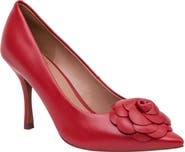 Linea Paolo Primrose Pointed Toe Pump