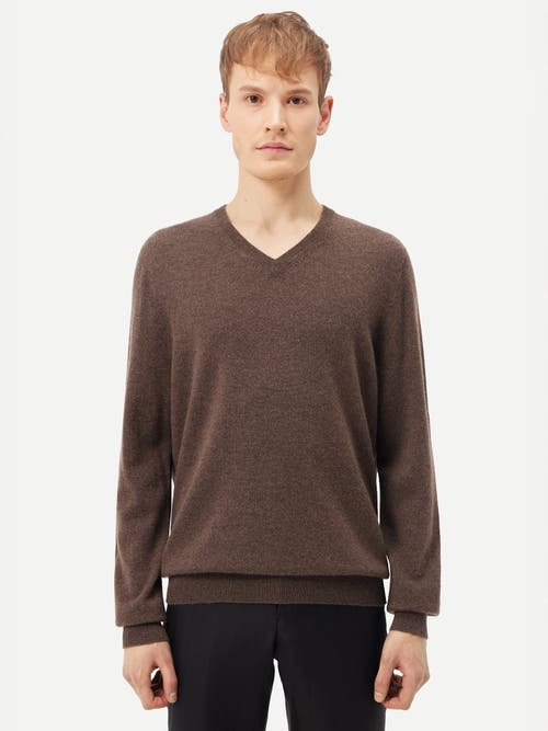 Gobi Mongolian Cashmere V-neck Sweater In Cocoa