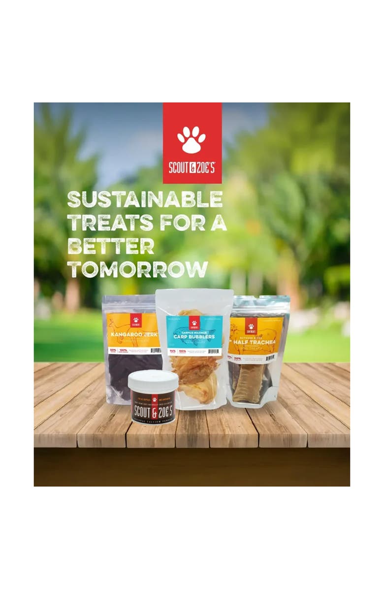 Scout & Zoe's Pet Calcium, 1.5oz Ultra Fine Elk Antler Powder, Pet Supplement, Alternate, color, Multicolored